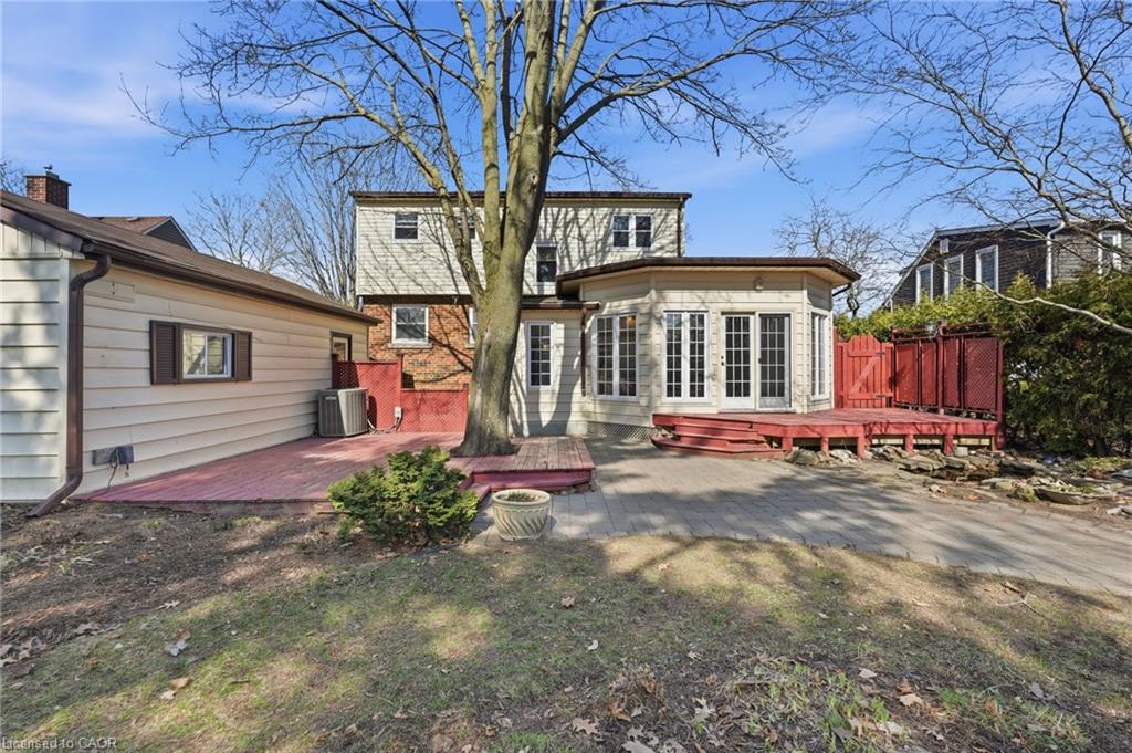 Existing rear yard